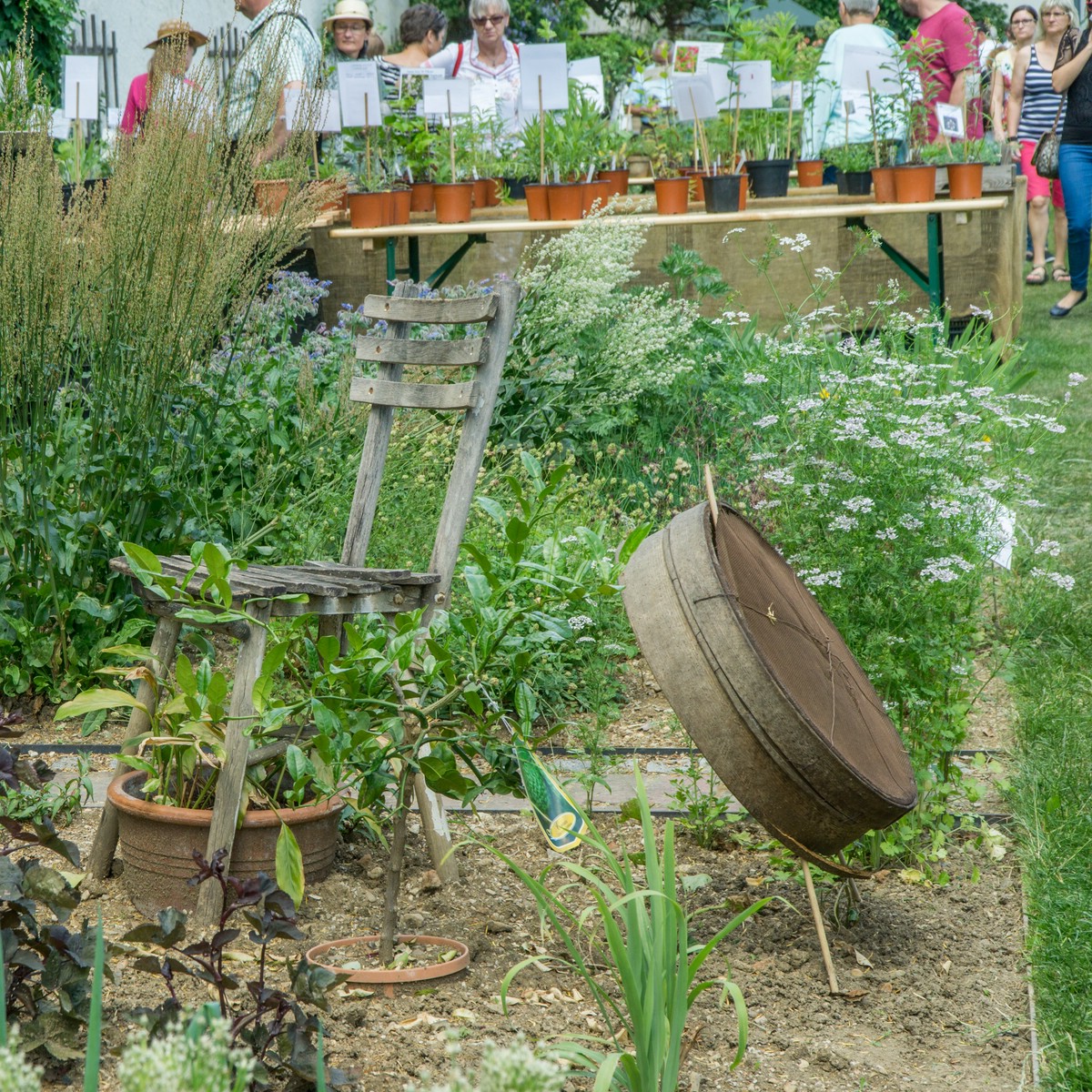 O Fotomagazin / Gartentage im Historischen Stiftsgarten im Stift Seitenstetten 